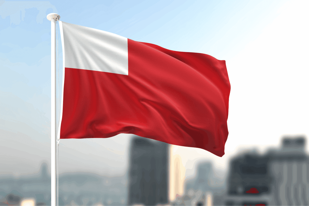 Abu Dhabi’s Global South Utilities to Deploy $1 Billion for Yemen’s Energy Rebuild