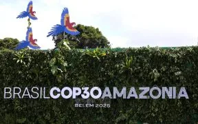 COP30: Day 7 Recap
