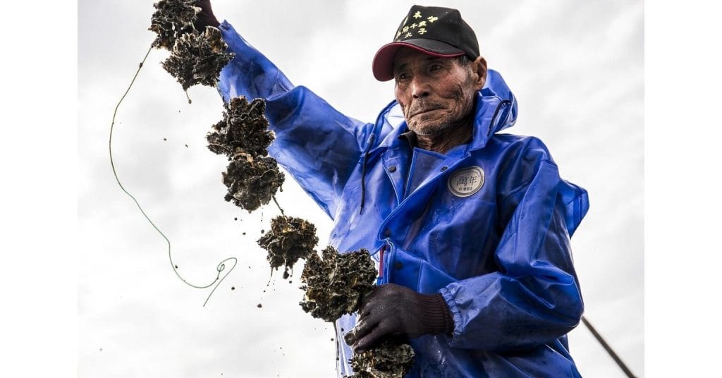 Creative Tech Textile Seawool® — Opening New Horizons for Sustainable Fashion