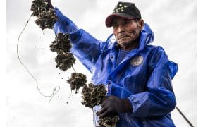 Creative Tech Textile Seawool® — Opening New Horizons for Sustainable Fashion