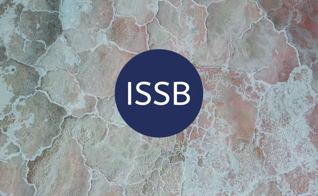 ISSB Moves Nature into Reporting Mainstream as TNFD Steps Back from Technical Work