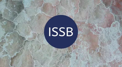 ISSB Moves Nature into Reporting Mainstream as TNFD Steps Back from Technical Work