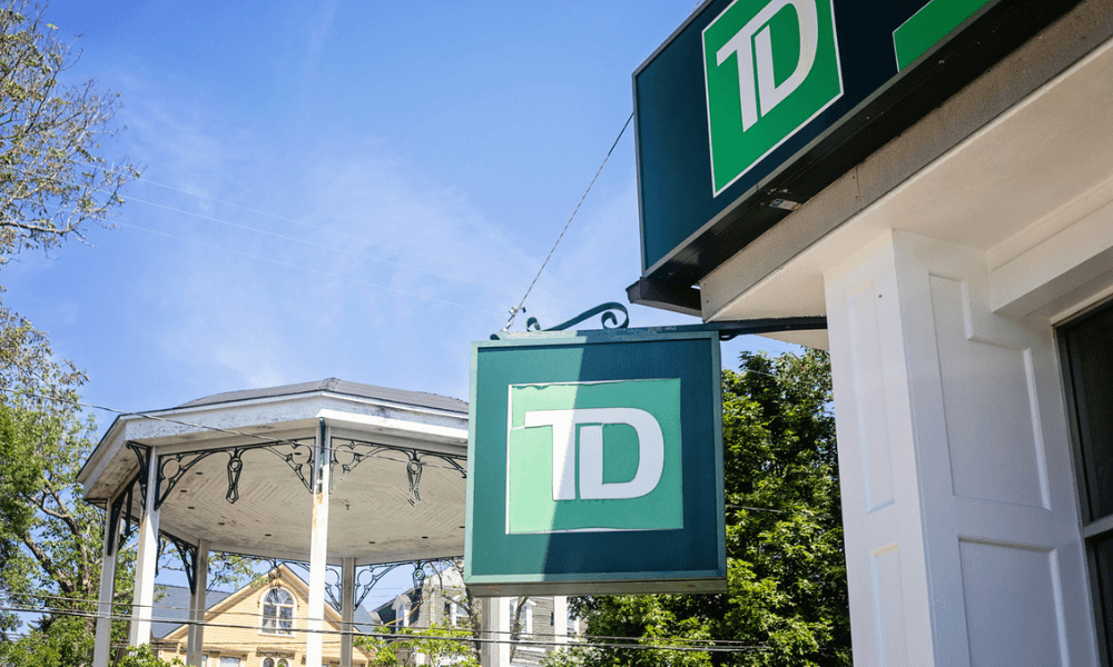 TD Bank Secures Multi-Year Forest Carbon Deal with Chestnut Carbon