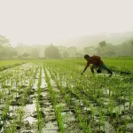 Varaha Secures $30 Million to Scale Regenerative Agriculture Across India