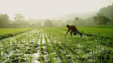 Varaha Secures $30 Million to Scale Regenerative Agriculture Across India