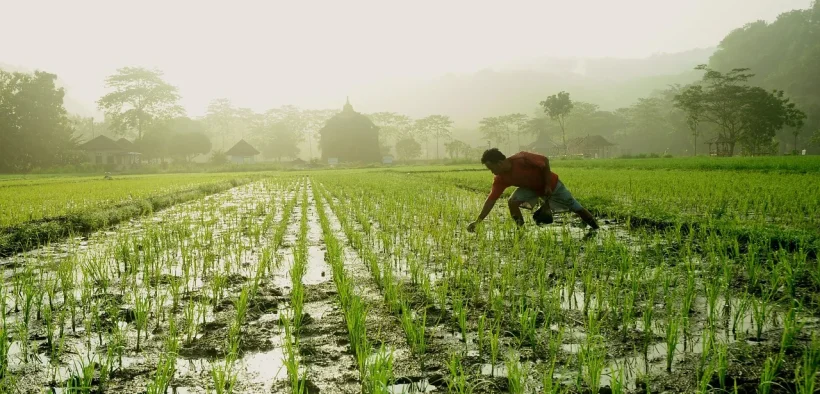 Varaha Secures $30 Million to Scale Regenerative Agriculture Across India