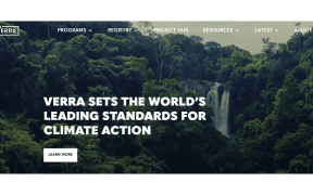 Verra Launches Pilot to Fast-Track Project Review Requests as Market Pressures Intensify