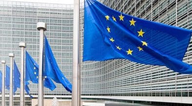 Category Sample Image