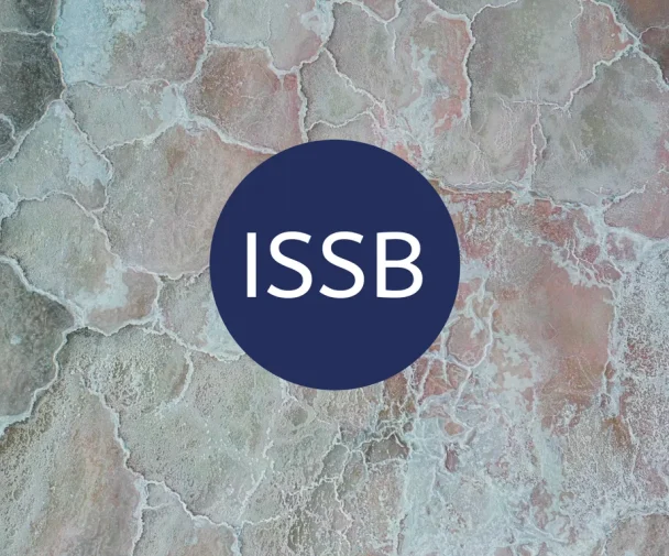 ISSB Eases Financed Emissions Rules Under IFRS S2, Giving Banks And Asset Managers Reporting Relief