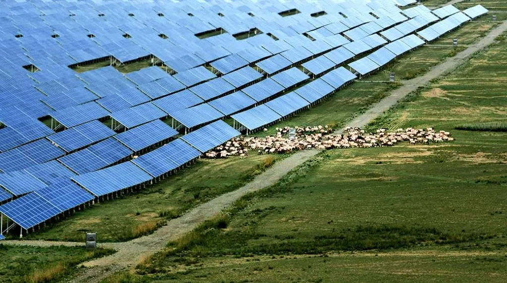 Qinghai vincula la restauración ecológica con una de las redes eléctricas más limpias de China