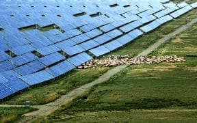 Qinghai Links Ecological Restoration With One of China’s Cleanest Power Grids