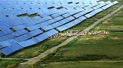 Qinghai Links Ecological Restoration With One of China’s Cleanest Power Grids