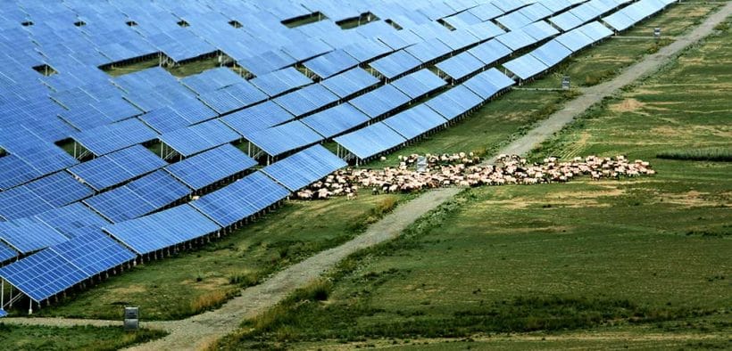 Qinghai Links Ecological Restoration With One of China’s Cleanest Power Grids