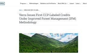 Verra Issues First CCP Labeled Forest Carbon Credits Under Updated IFM Methodology