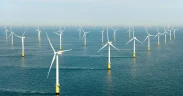 Vestas to Double Polish Blade Production as Europe’s Onshore Wind Buildout Accelerates