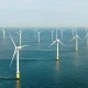 Vestas to Double Polish Blade Production as Europe’s Onshore Wind Buildout Accelerates