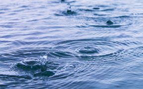 Water Companies Face Scrutiny After Borrowing $13 Billion in Green Bonds Despite Rising Pollution