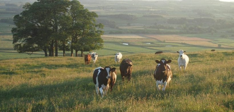 Grassroots Carbon Reaches 1.9 Million Tons of Verified Soil Removals for Net Zero Demand