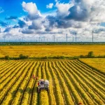 Vietnam Certifies 71,000 Tonnes of Low Emission Rice Under National Green Farming Programme