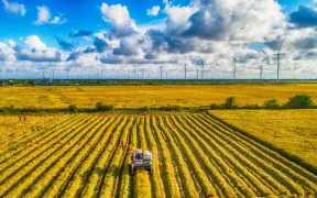 Vietnam Certifies 71,000 Tonnes of Low Emission Rice Under National Green Farming Programme