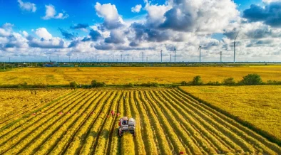 Vietnam Certifies 71,000 Tonnes of Low Emission Rice Under National Green Farming Programme