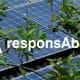 responsAbility Raises $460 Million for Asia Climate Strategy to Scale Low Carbon Finance