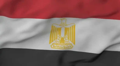 Egypt Mandates Carbon Disclosure, 20% Offsets For Non-Bank Financial Institutions