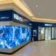 First Abu Dhabi Bank Misr Launches Launches Solar Powered Green Schools Initiative in Egypt