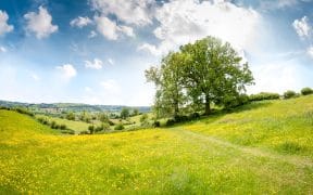 GHG Protocol Sets Global Rules For Land Emissions And Carbon Removals From 2027