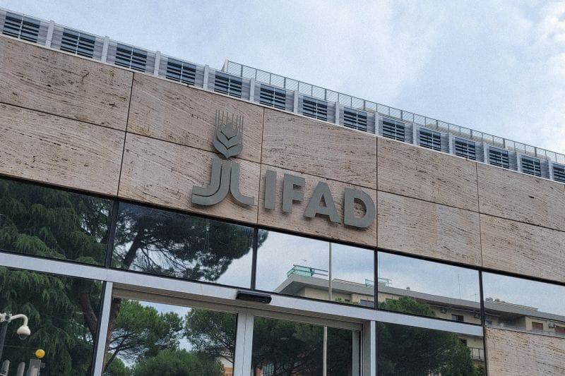 IFAD Raises $70M Sustainable Development Bond With Nordic Investors