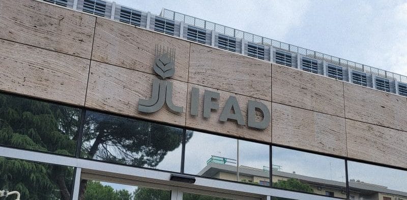 IFAD Raises $72 Million Through Sustainable Bond to Fund Rural Development