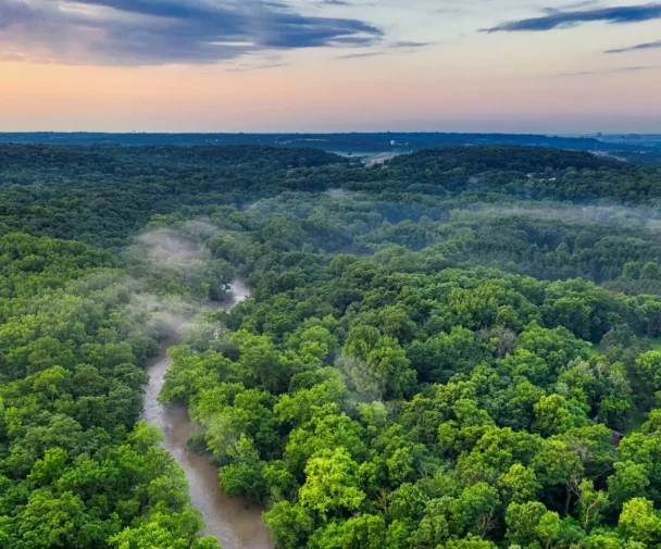 Brazil Awards First Amazon Reforestation Concession To Re.green In Carbon Finance Push