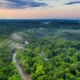 Brazil Awards First Amazon Reforestation Concession To Re.green In Carbon Finance Push