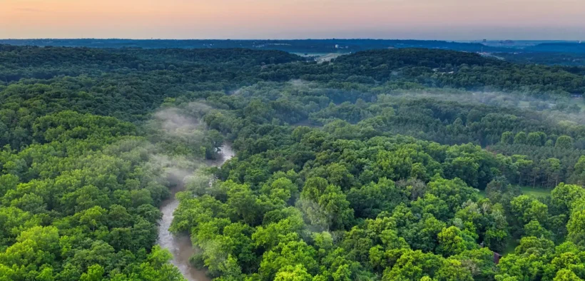 Brazil Awards First Amazon Reforestation Concession To Re.green In Carbon Finance Push