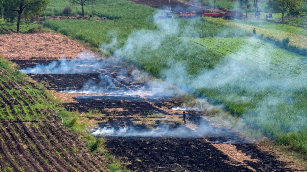 Climate Fund Managers Backs India Waste-To-Biogas Plant With $32.2M Investment