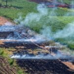 Climate Fund Managers Backs India Waste-To-Biogas Plant With $32.2M Investment