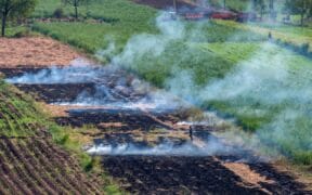 Climate Fund Managers Backs India Waste-To-Biogas Plant With $32.2M Investment