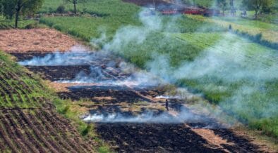 Climate Fund Managers Backs India Waste-To-Biogas Plant With $32.2M Investment