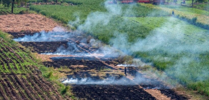 Climate Fund Managers Backs India Waste-To-Biogas Plant With $32.2M Investment