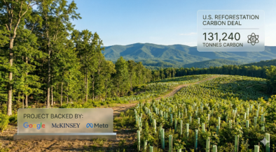 Google, McKinsey, Meta Back 131,240 Tonne U.S. Reforestation Carbon Deal In Appalachia