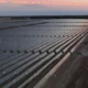 Zelestra Secures $600 Million Financing for 440 MW Texas Solar Portfolio Backed by Meta PPAs