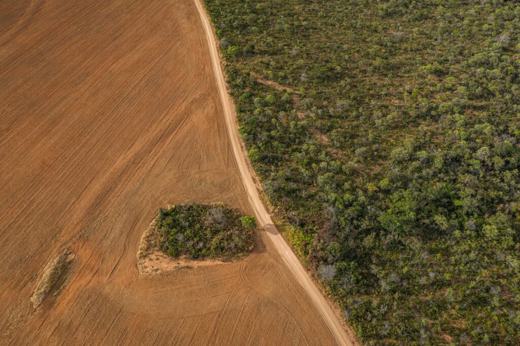 Brazil–China Supply Chain Accounts for Quarter of Global Deforestation Exposure