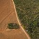 Brazil–China Supply Chain Accounts for Quarter of Global Deforestation Exposure