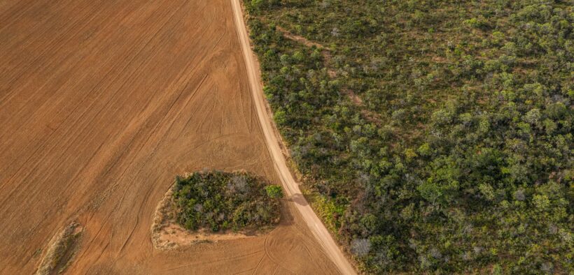 Brazil–China Supply Chain Accounts for Quarter of Global Deforestation Exposure