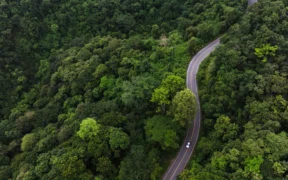 Climate Bonds Expands Bioenergy Criteria To Include Electricity, Tighten Methane Standards