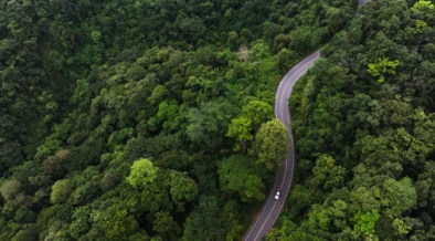 Climate Bonds Expands Bioenergy Criteria To Include Electricity, Tighten Methane Standards