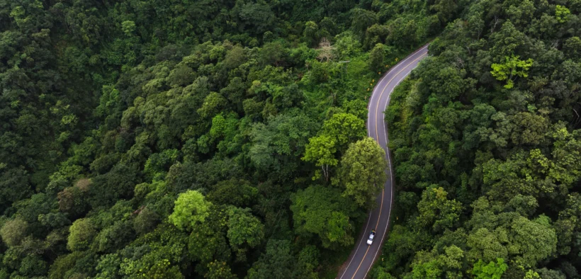 Climate Bonds Expands Bioenergy Criteria To Include Electricity, Tighten Methane Standards