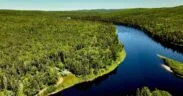 Finite Carbon Registers 212,806-Acre Maine Forest Project With CCP Credits