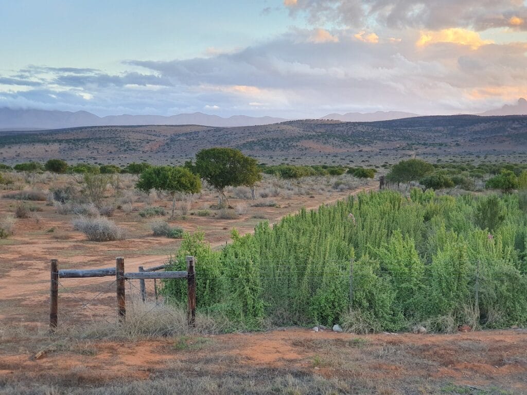 Imperative Secures $91 Million To Scale South Africa Ecosystem Restoration Project