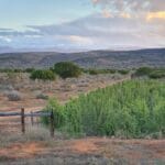 Imperative Secures $91 Million To Scale South Africa Ecosystem Restoration Project